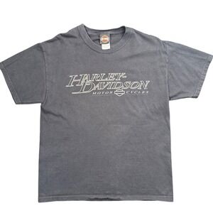 Harley Davidson Mt Cheaha Oxford AL T Shirt Large Made USA Hanes Beefy